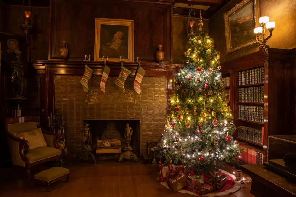 This Stunning Indoor Minnesota Christmas Tree Tour Is An Unforgettable Experience
