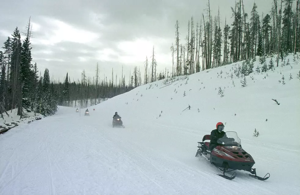 Man & Woman Accused of Stealing Snowmobile from Fatal Minnesota Crash Victim