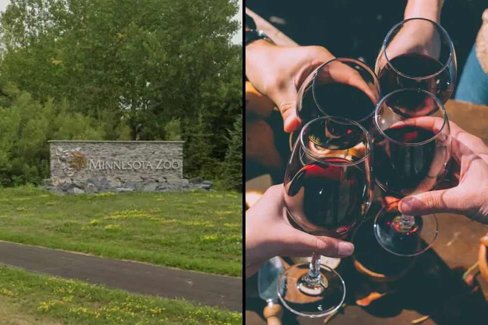 Adults-Only Saturday Nights are Now Available at the Minnesota Zoo